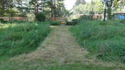 Garten KfW.JPG