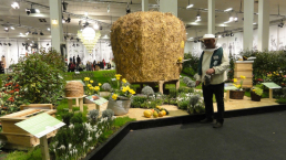 igw halle9 bienengarten