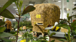 igw halle9 bienengarten