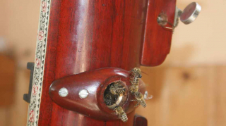 Bienen in Gitarre