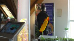 bienenausstellung2 birkenhof karlsruhe hemmer