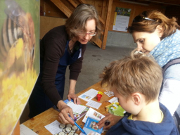 corinna hoelzer erklaert wildbienen apfelbluetenfest maeh c hemmer