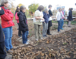 gartenseminar frankfurt hoelzer schaugarten c hemmer