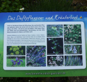 wildbienenschaugarten schautafel duftpflanzen kraeuterbeet c joerg duerrfeld